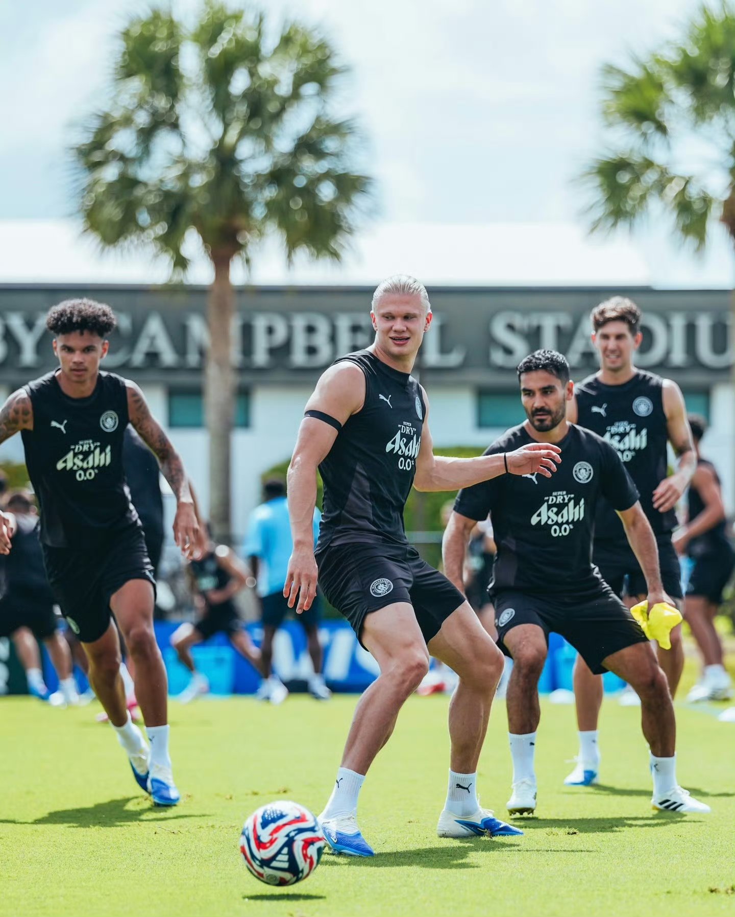 虎扑体育-加拿大队观众热烈欢呼！，哈兰德迎来十二赛季出色发挥赢得满堂喝彩(从未见过电影里打架观众会鼓掌加油的盛况)